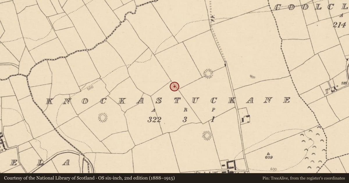 Ordnance Survey six-inch map, 2nd edition (1888–1915) covering the location of Fulacht fia, Knockastuckane, County Cork, with a pin at the register's coordinates
