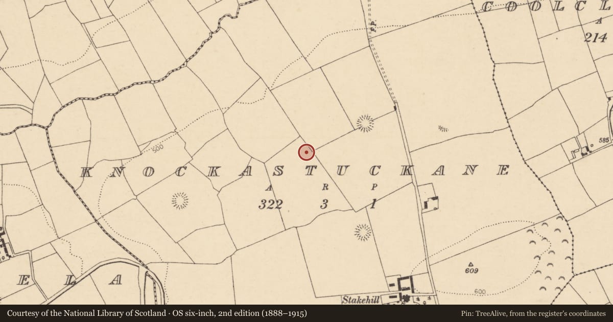 Ordnance Survey six-inch map, 2nd edition (1888–1915) covering the location of Fulacht fia, Knockastuckane, County Cork, with a pin at the register's coordinates