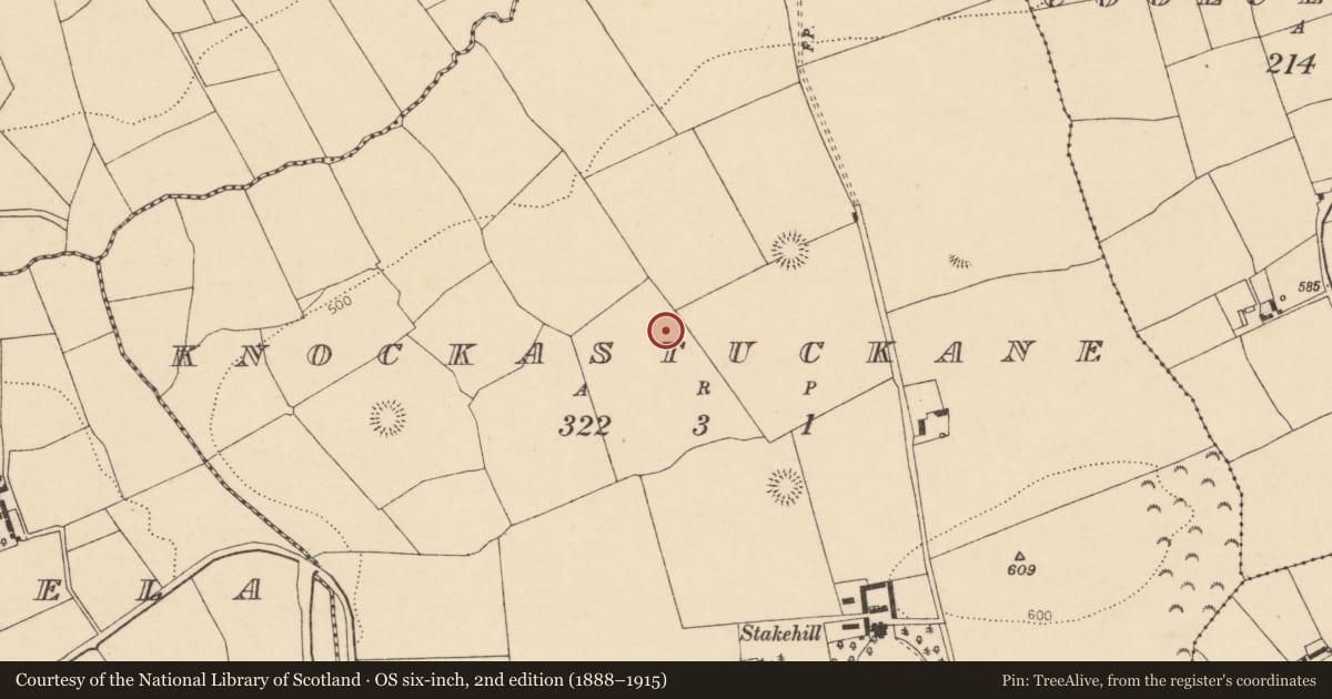 Ordnance Survey six-inch map, 2nd edition (1888–1915) covering the location of Fulacht fia, Knockastuckane, County Cork, with a pin at the register's coordinates