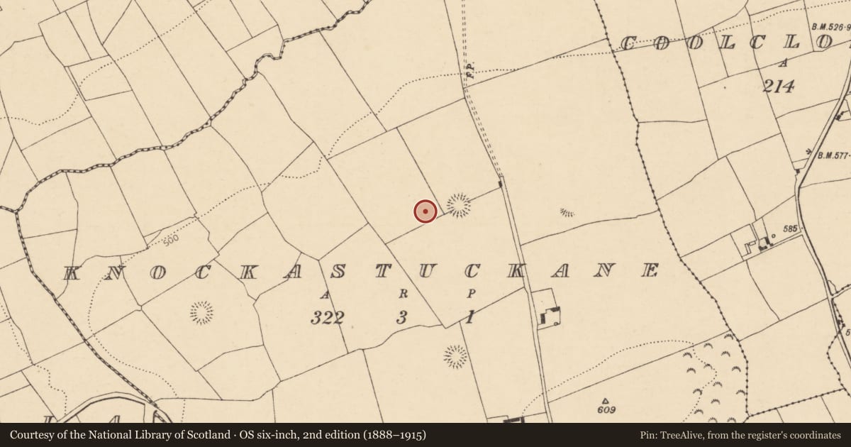 Ordnance Survey six-inch map, 2nd edition (1888–1915) covering the location of Fulacht fia, Knockastuckane, County Cork, with a pin at the register's coordinates