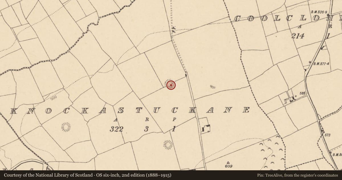 Ordnance Survey six-inch map, 2nd edition (1888–1915) covering the location of Ringfort - rath, Knockastuckane, County Cork, with a pin at the register's coordinates