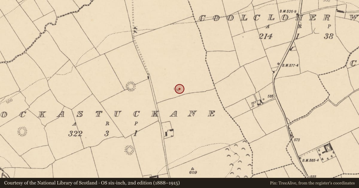 Ordnance Survey six-inch map, 2nd edition (1888–1915) covering the location of Ringfort - rath, Knockastuckane, County Cork, with a pin at the register's coordinates