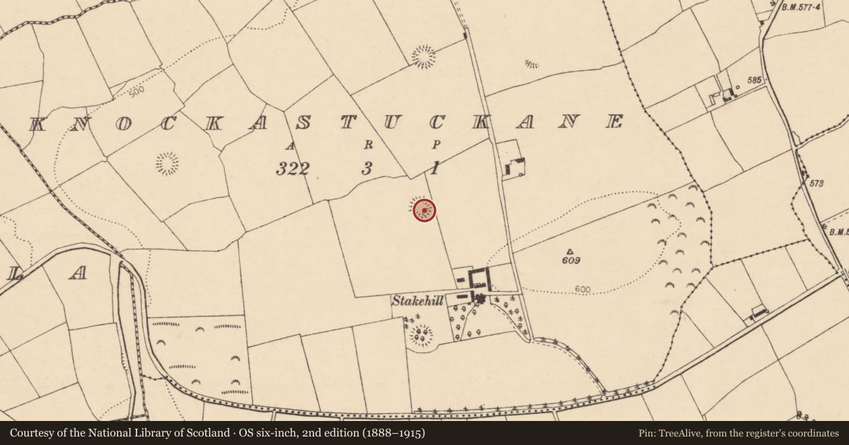 Ordnance Survey six-inch map, 2nd edition (1888–1915) covering the location of Ringfort - rath, Knockastuckane, County Cork, with a pin at the register's coordinates