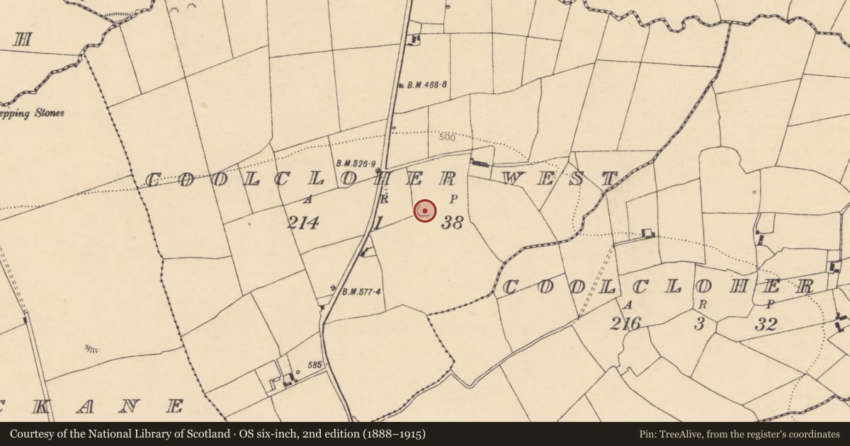 Ordnance Survey six-inch map, 2nd edition (1888–1915) covering the location of Ringfort - rath, Coolcloher West, County Cork, with a pin at the register's coordinates