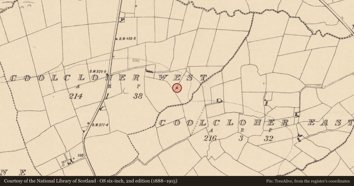 Ordnance Survey six-inch map, 2nd edition (1888–1915) covering the location of Fulacht fia, Coolcloher West, County Cork, with a pin at the register's coordinates
