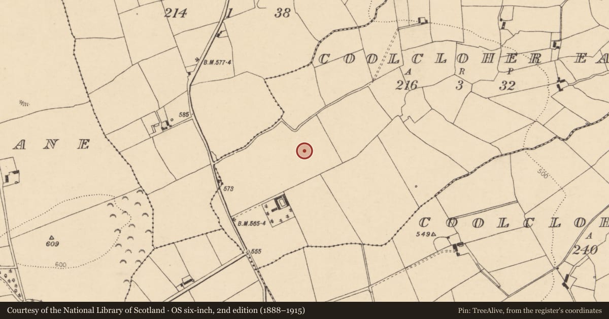 Ordnance Survey six-inch map, 2nd edition (1888–1915) covering the location of Ringfort - rath, Coolcloher East, County Cork, with a pin at the register's coordinates