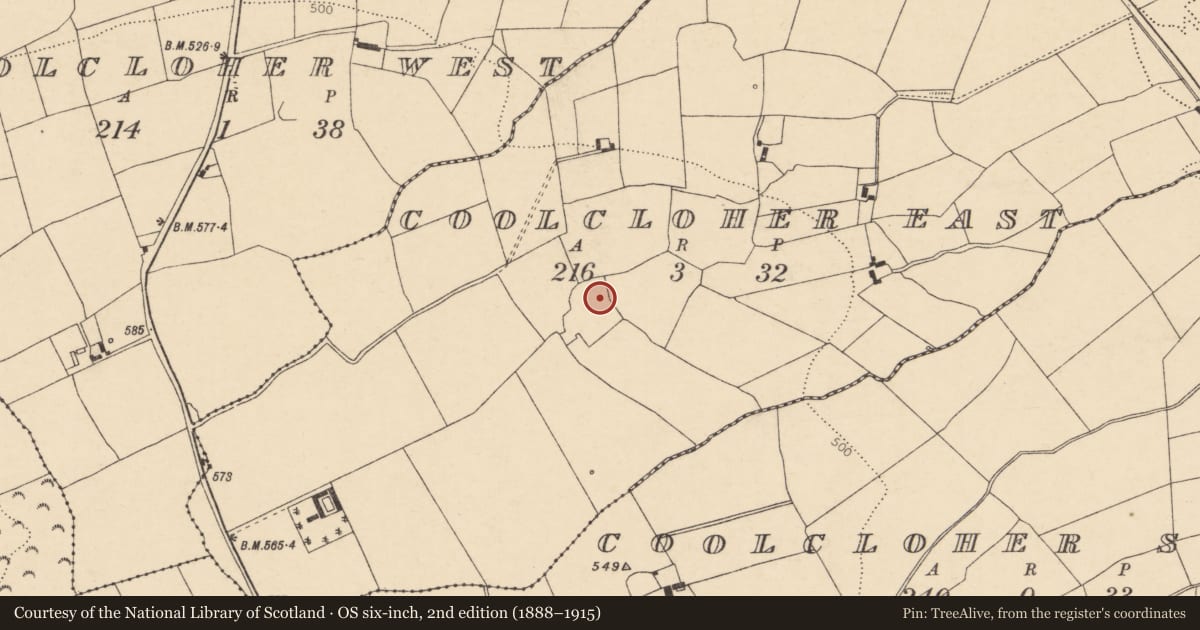 Ordnance Survey six-inch map, 2nd edition (1888–1915) covering the location of Ringfort - rath, Coolcloher East, County Cork, with a pin at the register's coordinates