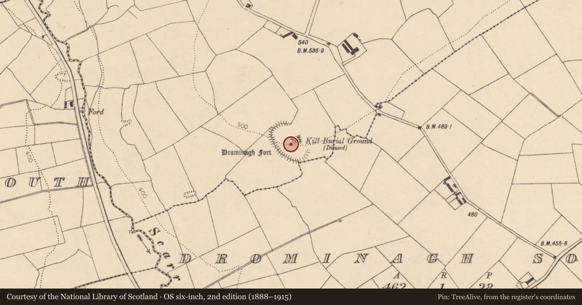 Ordnance Survey six-inch map, 2nd edition (1888–1915) covering the location of Ecclesiastical enclosure, Drominagh North, County Cork, with a pin at the register's coordinates