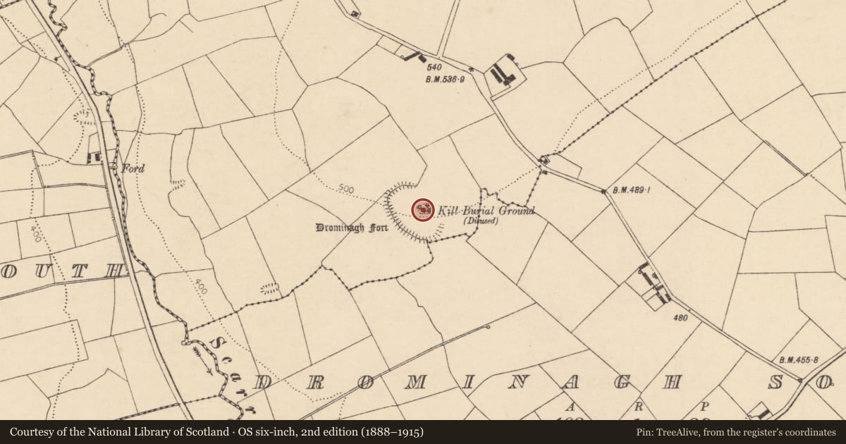 Ordnance Survey six-inch map, 2nd edition (1888–1915) covering the location of Church, Drominagh North, County Cork, with a pin at the register's coordinates