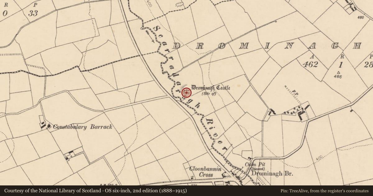 Ordnance Survey six-inch map, 2nd edition (1888–1915) covering the location of Castle - unclassified, Drominagh South, County Cork, with a pin at the register's coordinates