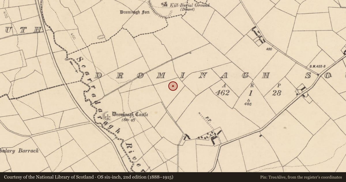 Ordnance Survey six-inch map, 2nd edition (1888–1915) covering the location of Fulacht fia, Drominagh South, County Cork, with a pin at the register's coordinates