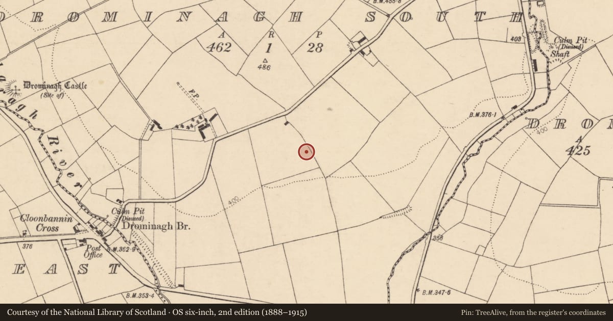 Ordnance Survey six-inch map, 2nd edition (1888–1915) covering the location of Mine, Drominagh South, County Cork, with a pin at the register's coordinates
