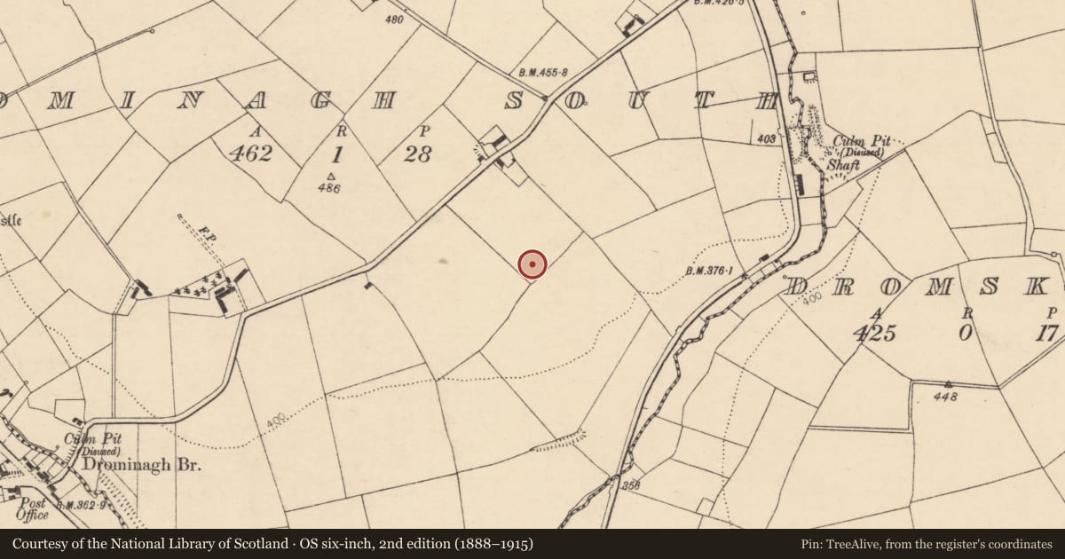 Ordnance Survey six-inch map, 2nd edition (1888–1915) covering the location of Mine, Drominagh South, County Cork, with a pin at the register's coordinates
