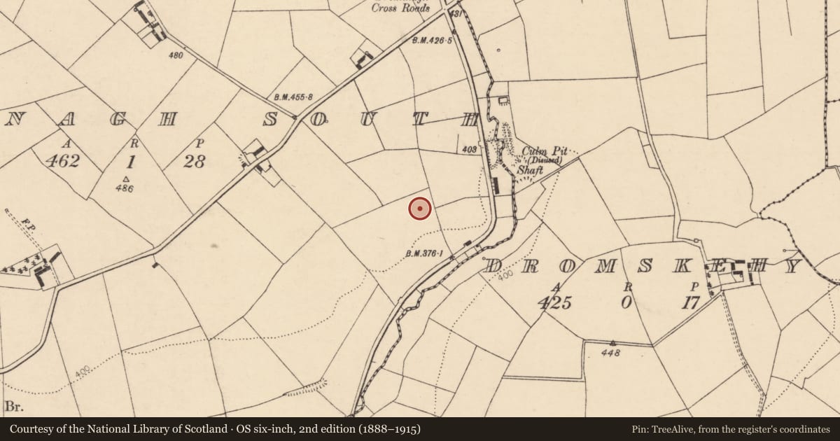 Ordnance Survey six-inch map, 2nd edition (1888–1915) covering the location of Mine, Drominagh South, County Cork, with a pin at the register's coordinates