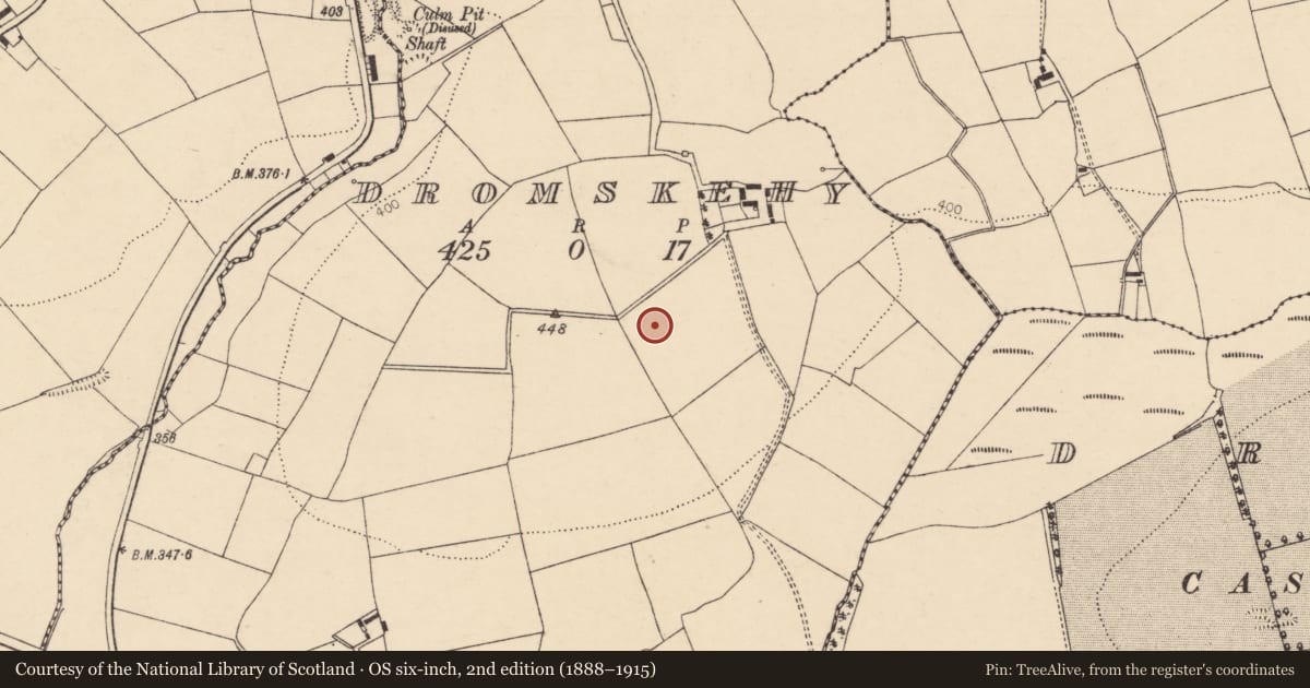 Ordnance Survey six-inch map, 2nd edition (1888–1915) covering the location of Ringfort - rath, Dromskehy, County Cork, with a pin at the register's coordinates