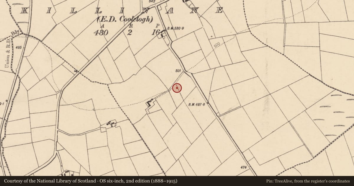 Ordnance Survey six-inch map, 2nd edition (1888–1915) covering the location of Fulacht fia, Killinane (Duhallow By., Dromtarriff Par.), County Cork, with a pin at the register's coordinates