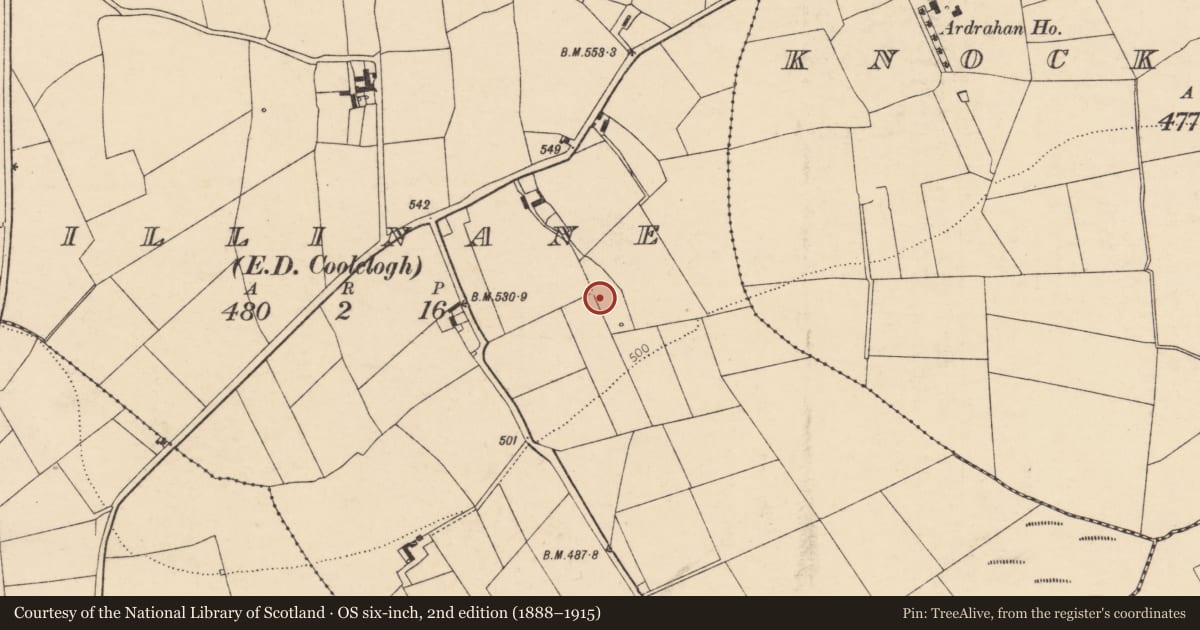 Ordnance Survey six-inch map, 2nd edition (1888–1915) covering the location of Standing stone, Killinane (Duhallow By., Dromtarriff Par.), County Cork, with a pin at the register's coordinates