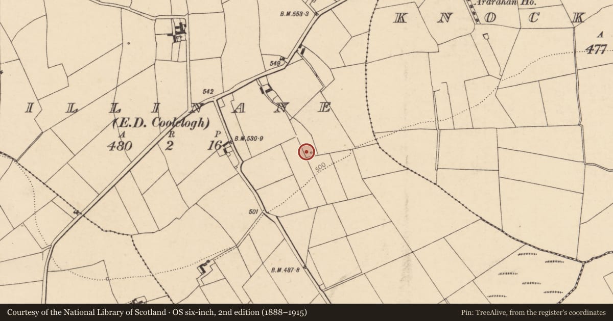 Ordnance Survey six-inch map, 2nd edition (1888–1915) covering the location of Fulacht fia, Killinane (Duhallow By., Dromtarriff Par.), County Cork, with a pin at the register's coordinates