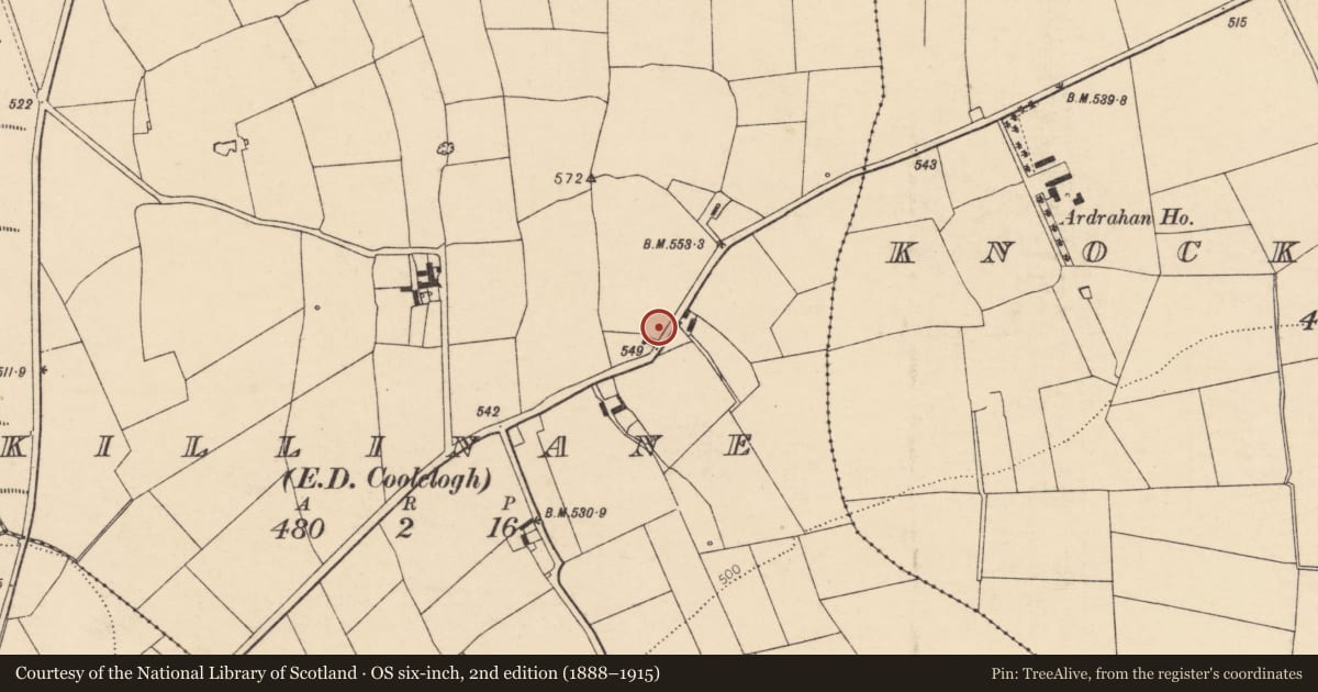 Ordnance Survey six-inch map, 2nd edition (1888–1915) covering the location of Burial ground, Killinane (Duhallow By., Dromtarriff Par.), County Cork, with a pin at the register's coordinates