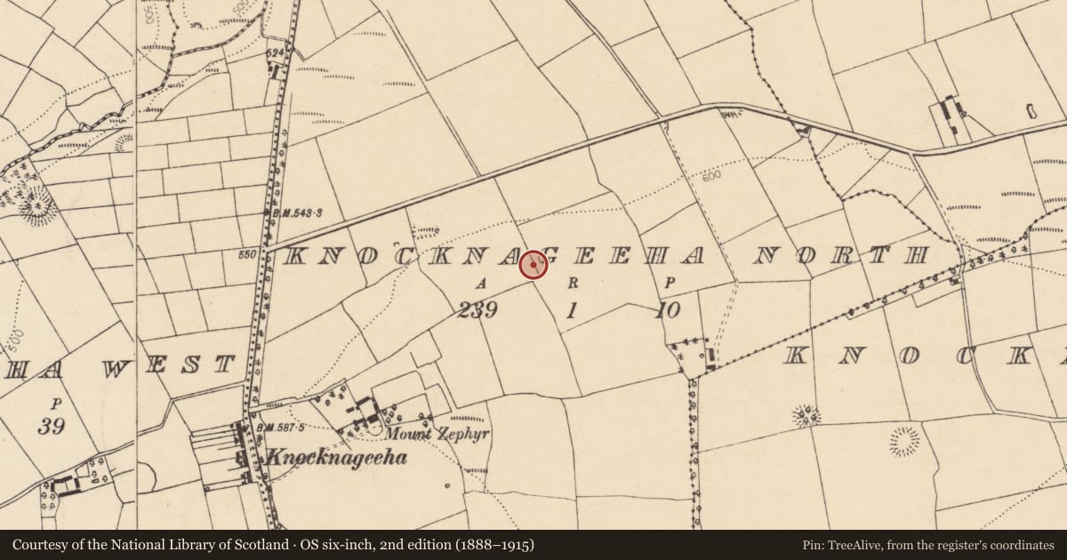 Ordnance Survey six-inch map, 2nd edition (1888–1915) covering the location of Ringfort - rath, Knocknageeha North, County Cork, with a pin at the register's coordinates