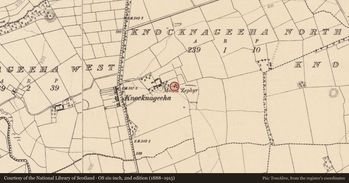 Ordnance Survey six-inch map, 2nd edition (1888–1915) covering the location of Ringfort - rath, Knocknageeha North, County Cork, with a pin at the register's coordinates