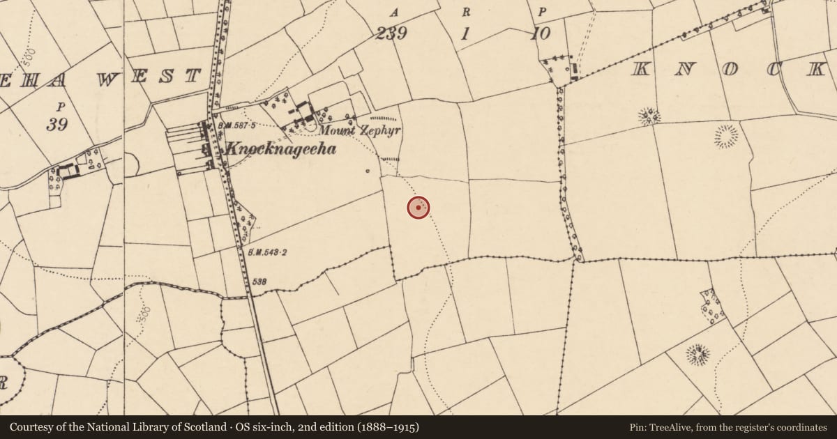 Ordnance Survey six-inch map, 2nd edition (1888–1915) covering the location of Ringfort - rath, Knocknageeha North, County Cork, with a pin at the register's coordinates