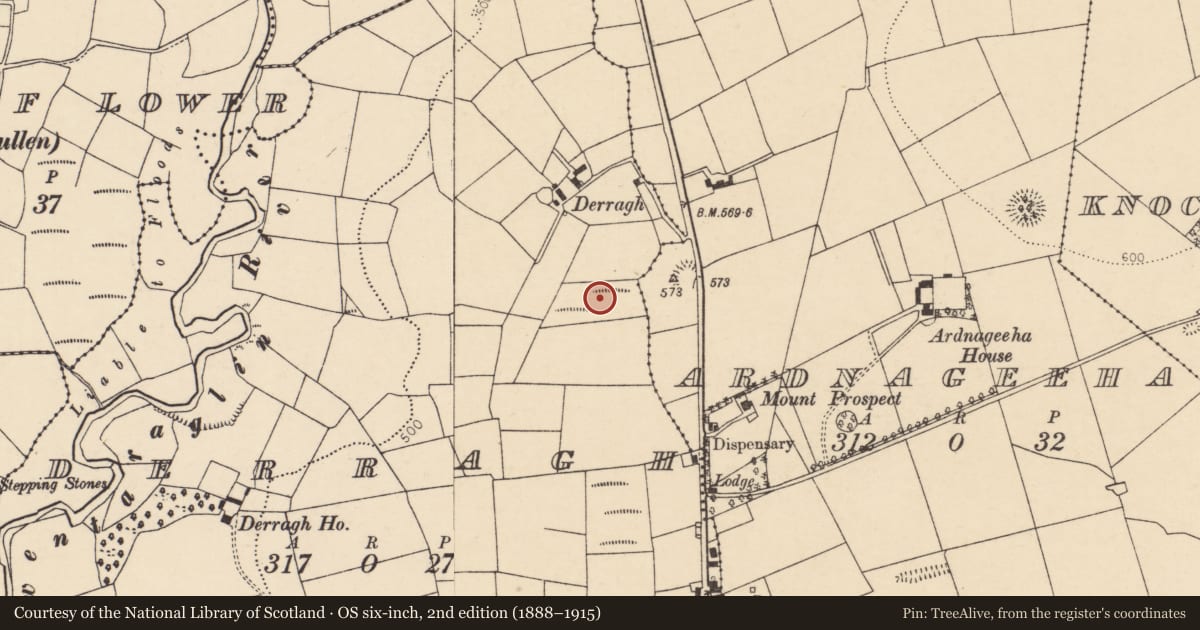 Ordnance Survey six-inch map, 2nd edition (1888–1915) covering the location of Fulacht fia, Derragh, County Cork, with a pin at the register's coordinates