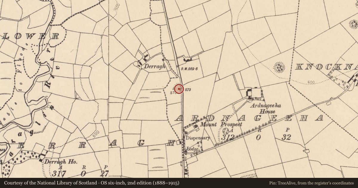 Ordnance Survey six-inch map, 2nd edition (1888–1915) covering the location of Ringfort - rath, Ardnageeha, County Cork, with a pin at the register's coordinates