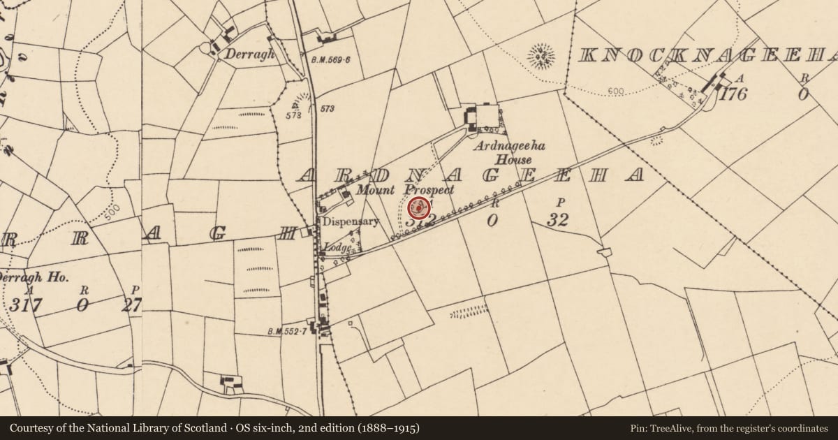 Ordnance Survey six-inch map, 2nd edition (1888–1915) covering the location of Souterrain, Ardnageeha, County Cork, with a pin at the register's coordinates