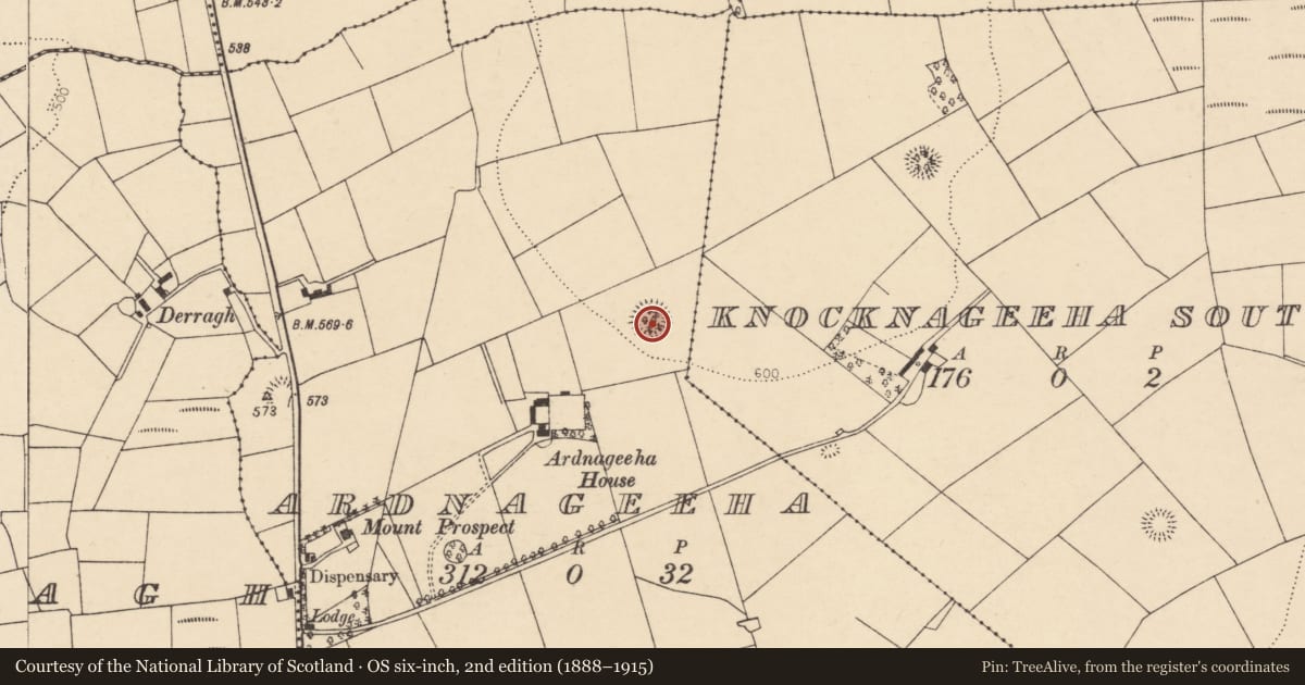 Ordnance Survey six-inch map, 2nd edition (1888–1915) covering the location of Ringfort - rath, Ardnageeha, County Cork, with a pin at the register's coordinates