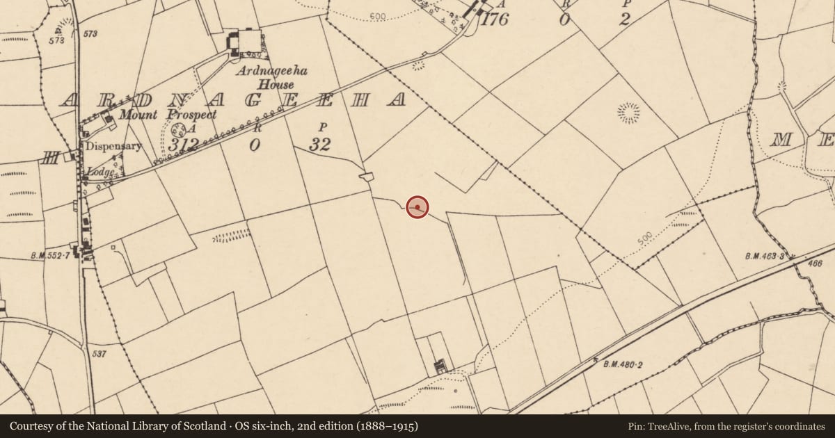 Ordnance Survey six-inch map, 2nd edition (1888–1915) covering the location of Fulacht fia, Ardnageeha, County Cork, with a pin at the register's coordinates