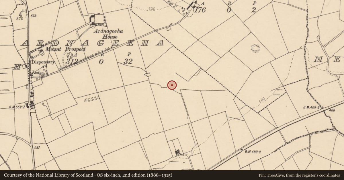 Ordnance Survey six-inch map, 2nd edition (1888–1915) covering the location of Fulacht fia, Ardnageeha, County Cork, with a pin at the register's coordinates