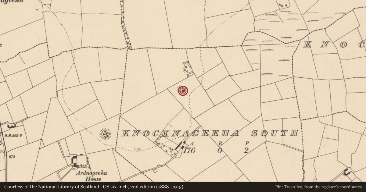 Ordnance Survey six-inch map, 2nd edition (1888–1915) covering the location of Ringfort - rath, Knocknageeha South, County Cork, with a pin at the register's coordinates