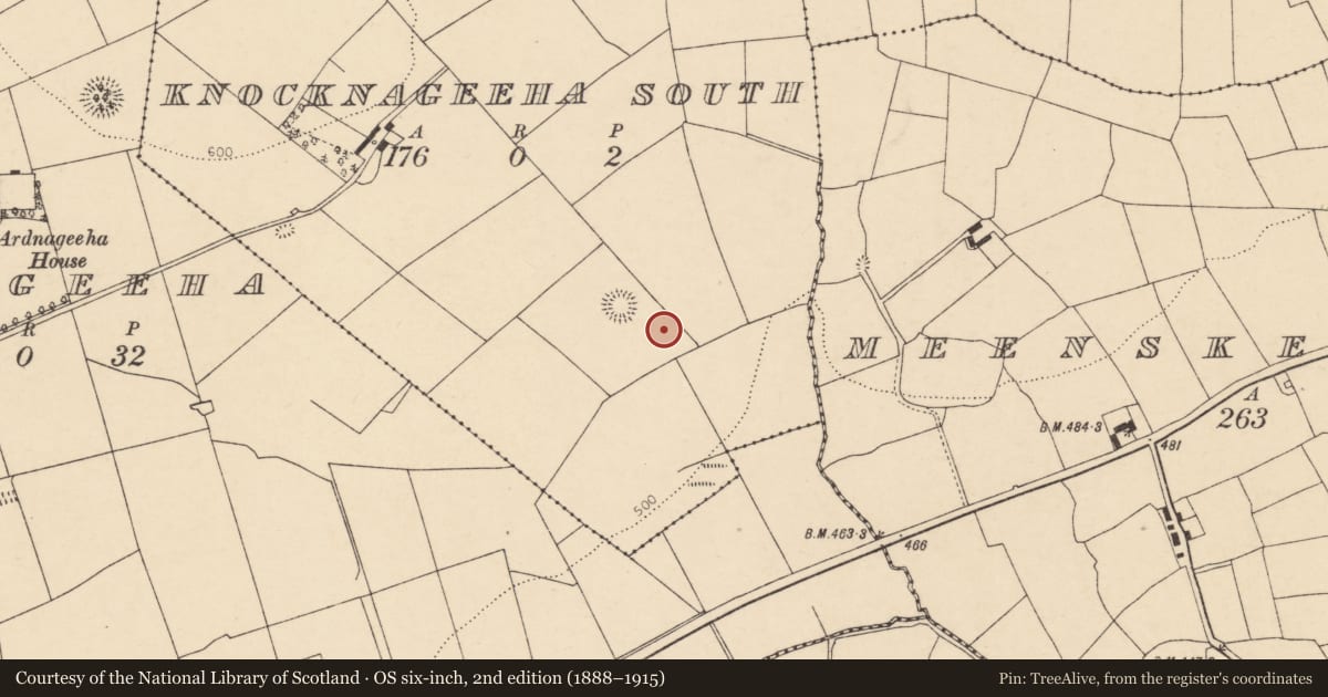 Ordnance Survey six-inch map, 2nd edition (1888–1915) covering the location of Fulacht fia, Knocknageeha South, County Cork, with a pin at the register's coordinates