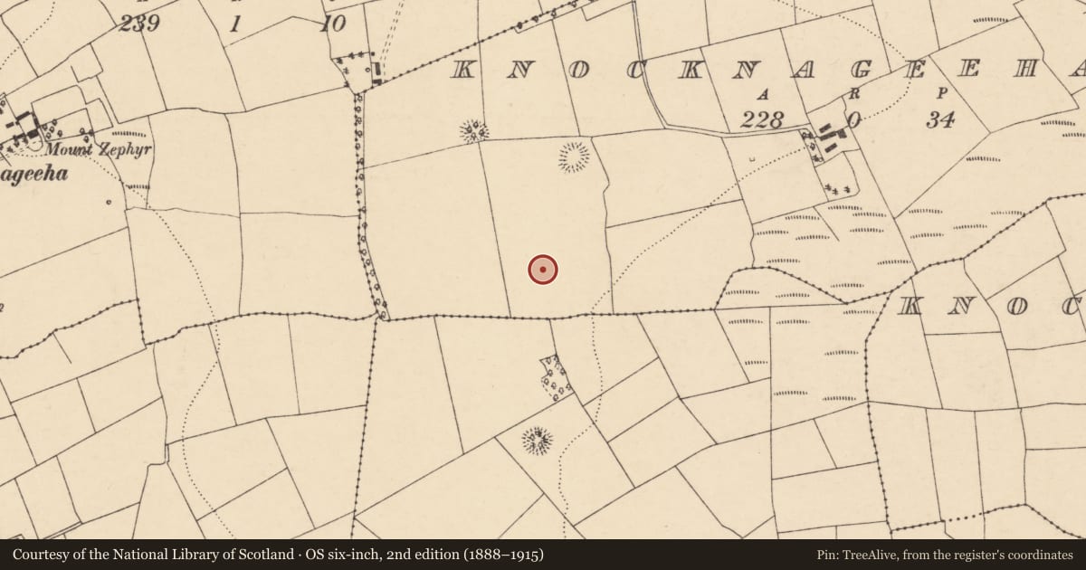 Ordnance Survey six-inch map, 2nd edition (1888–1915) covering the location of Ringfort - rath, Knocknageeha East, County Cork, with a pin at the register's coordinates