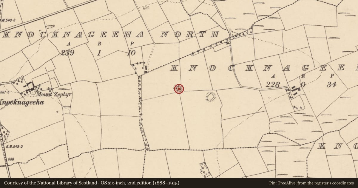 Ordnance Survey six-inch map, 2nd edition (1888–1915) covering the location of Ringfort - rath, Knocknageeha East, County Cork, with a pin at the register's coordinates