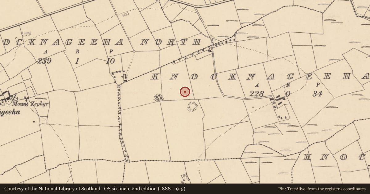 Ordnance Survey six-inch map, 2nd edition (1888–1915) covering the location of Ringfort - rath, Knocknageeha East, County Cork, with a pin at the register's coordinates