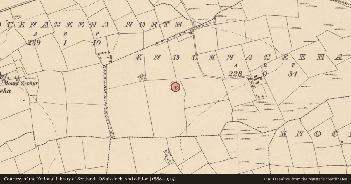 Ordnance Survey six-inch map, 2nd edition (1888–1915) covering the location of Ringfort - rath, Knocknageeha East, County Cork, with a pin at the register's coordinates