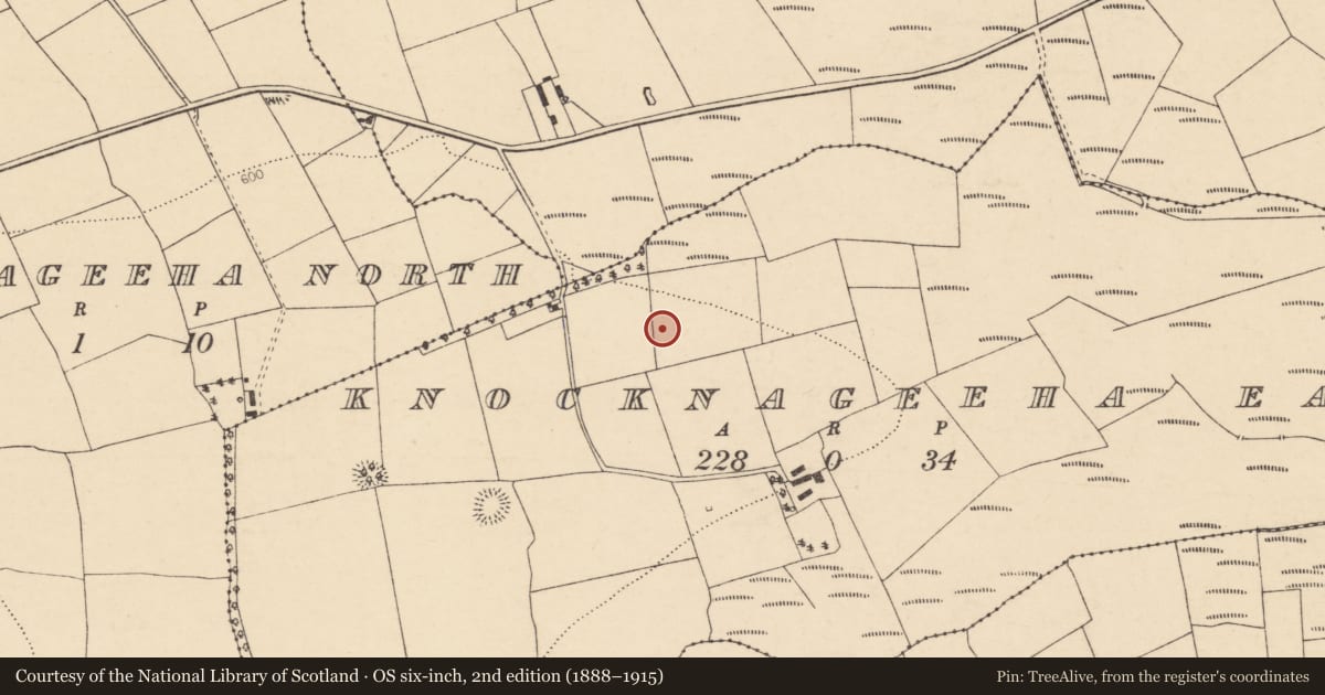 Ordnance Survey six-inch map, 2nd edition (1888–1915) covering the location of Fulacht fia, Knocknageeha East, County Cork, with a pin at the register's coordinates