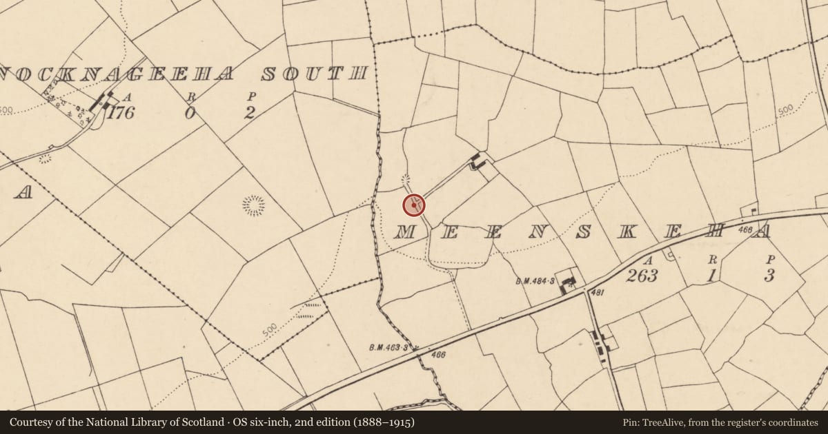 Ordnance Survey six-inch map, 2nd edition (1888–1915) covering the location of Fulacht fia, Meenskeha West, County Cork, with a pin at the register's coordinates