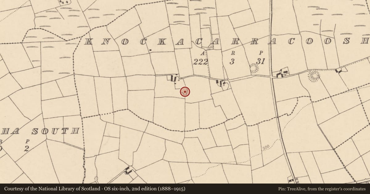 Ordnance Survey six-inch map, 2nd edition (1888–1915) covering the location of Ringfort - rath, Knockacarracoosh, County Cork, with a pin at the register's coordinates