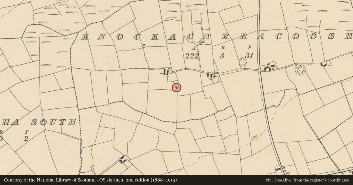 Ordnance Survey six-inch map, 2nd edition (1888–1915) covering the location of Souterrain, Knockacarracoosh, County Cork, with a pin at the register's coordinates