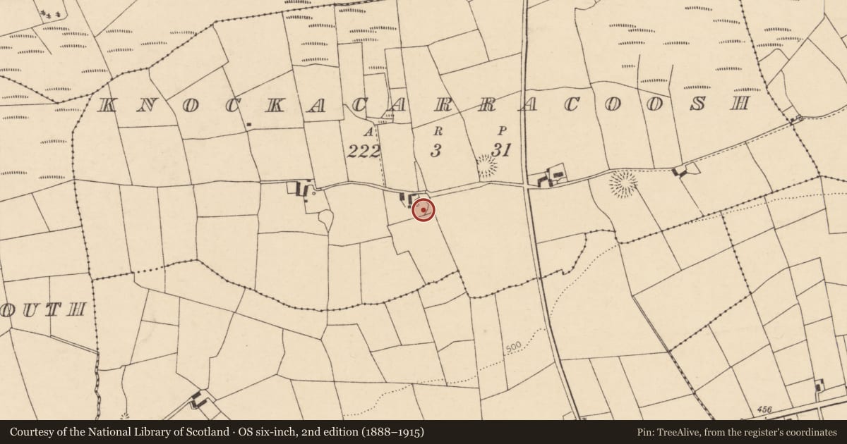 Ordnance Survey six-inch map, 2nd edition (1888–1915) covering the location of Ringfort - rath, Knockacarracoosh, County Cork, with a pin at the register's coordinates