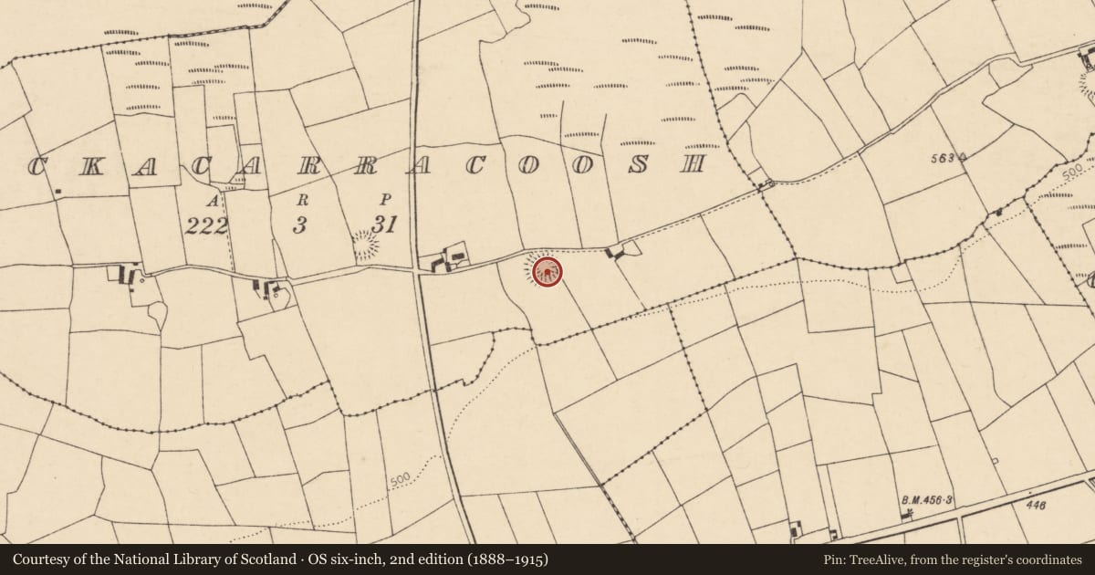 Ordnance Survey six-inch map, 2nd edition (1888–1915) covering the location of Ringfort - rath, Knockacarracoosh, County Cork, with a pin at the register's coordinates