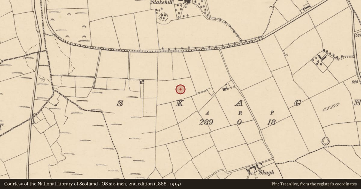 Ordnance Survey six-inch map, 2nd edition (1888–1915) covering the location of Fulacht fia, Skagh, County Cork, with a pin at the register's coordinates
