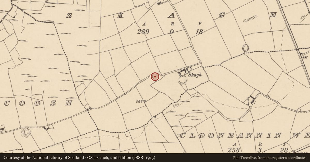 Ordnance Survey six-inch map, 2nd edition (1888–1915) covering the location of Burial ground, Skagh, County Cork, with a pin at the register's coordinates