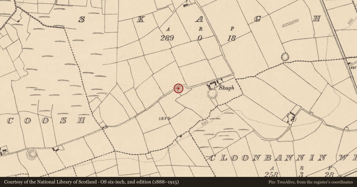 Ordnance Survey six-inch map, 2nd edition (1888–1915) covering the location of Church, Skagh, County Cork, with a pin at the register's coordinates