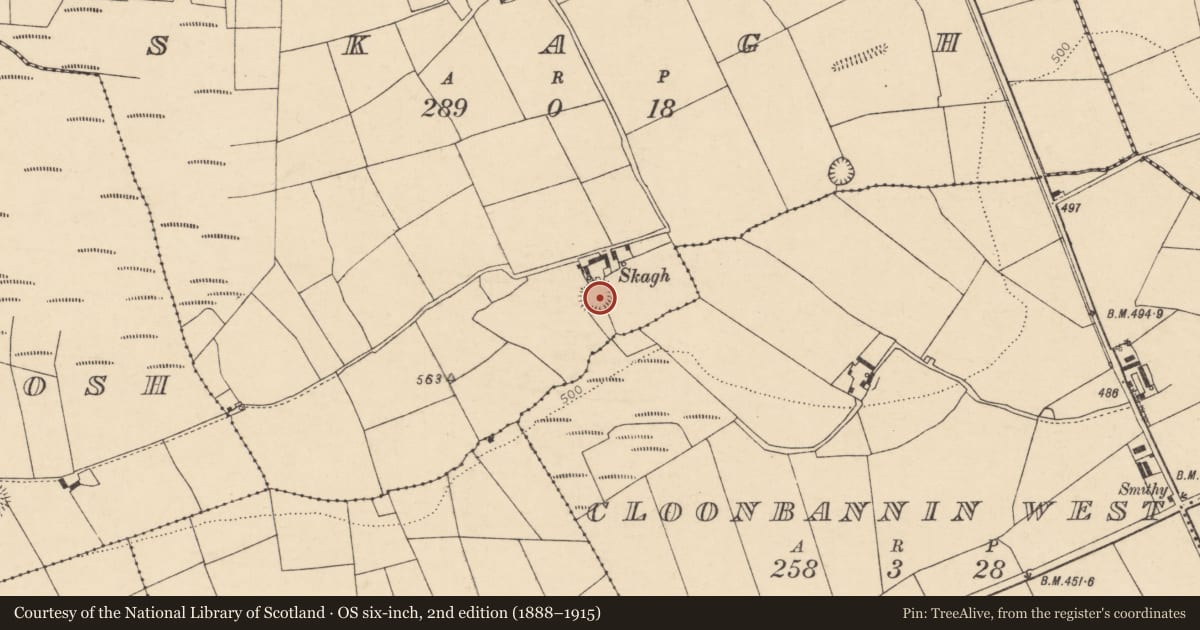 Ordnance Survey six-inch map, 2nd edition (1888–1915) covering the location of Ringfort - rath, Skagh, County Cork, with a pin at the register's coordinates