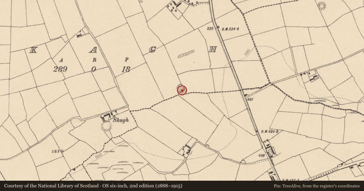 Ordnance Survey six-inch map, 2nd edition (1888–1915) covering the location of Ringfort - rath, Skagh, County Cork, with a pin at the register's coordinates