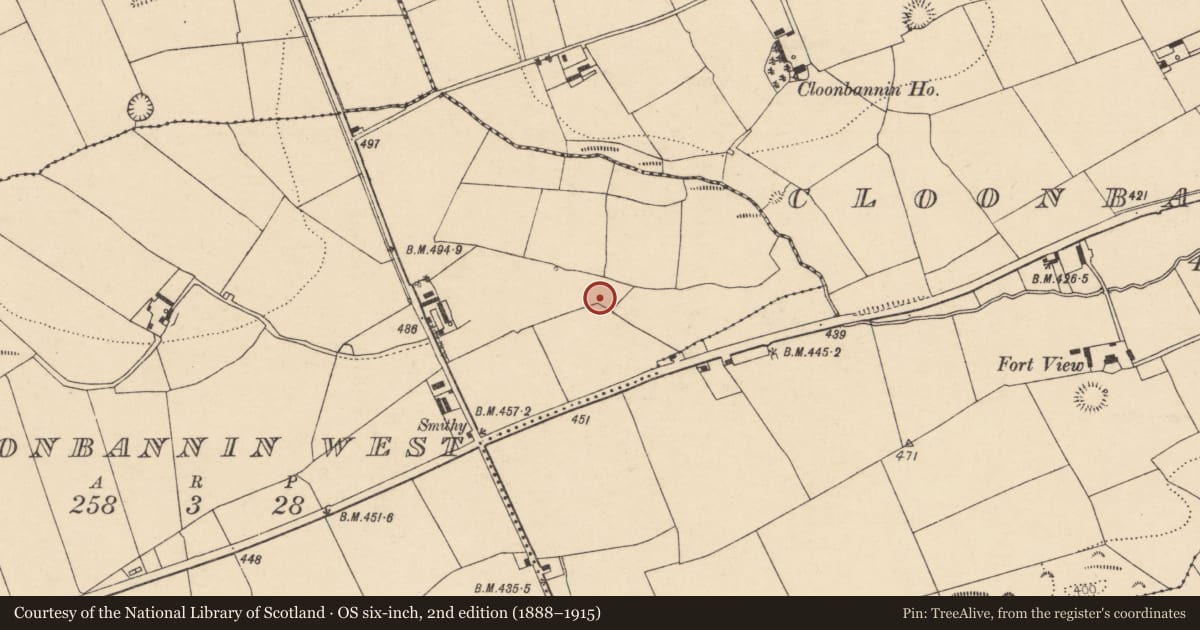 Ordnance Survey six-inch map, 2nd edition (1888–1915) covering the location of Fulacht fia, Cloonbannin West, County Cork, with a pin at the register's coordinates